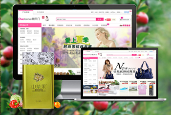 ʯ��ׯ�������̳�