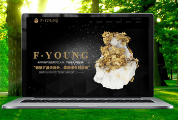 ʯ��ׯ�������ﱦʯ