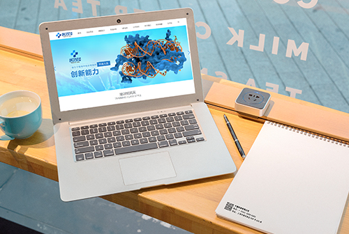 ʯ��ׯҽҩ��